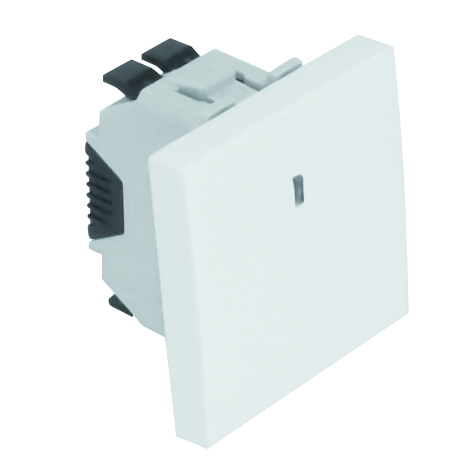 Single Pole Switch with Pilot Lamp - 2 Modules